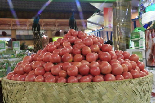 喜迎农民丰收节 乐都区特色农产品及农作物种子亮相青海河湟第五届农产品展交会