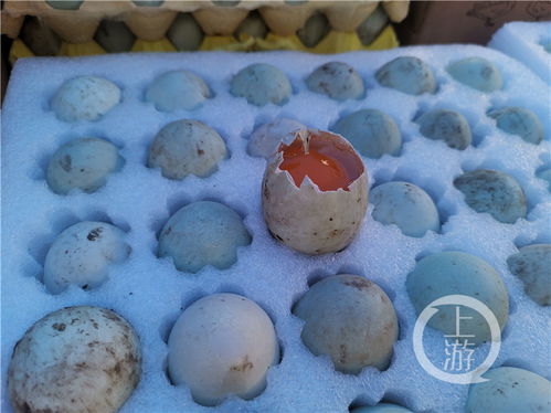 大米、茶油、麻辣鸡等200种扶贫农产品进机关，助力乡村振兴