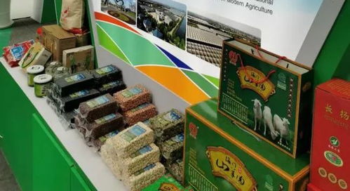 海门39种特色农产品亮相省农洽会，农作物种子产业引关注