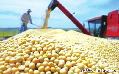 关注粮食种子问题，从源头保障作物产量