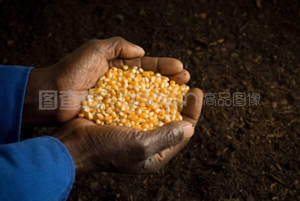 种子与传承 非裔美国人手中的希望