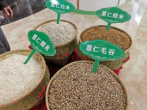 博罗兴仁 600多种农产品一站式购齐，助力扶贫还能买买买