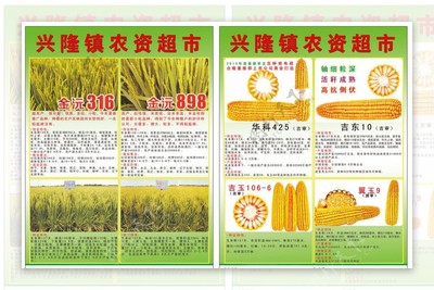 农作物种子种苗——丰收的希望，从精选种源开始