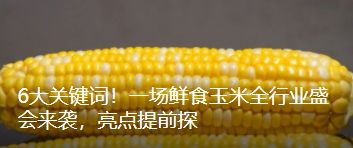 祝贺7家企业成功获批农作物种子生产经营许可证