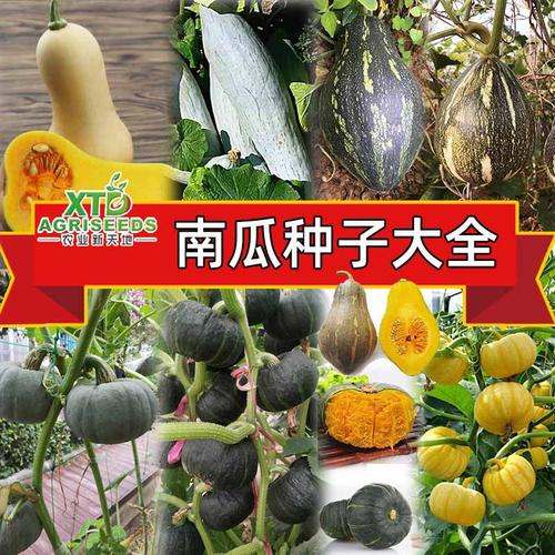 2025年中国农业 优质种苗企业如何掌控农业发展第一生产力